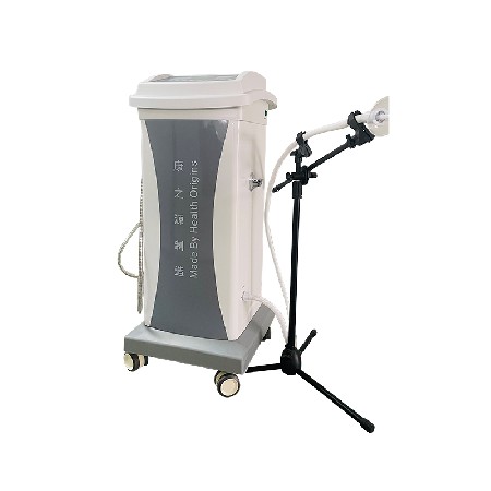 Multi functional ozone atomization gynecological treatment device